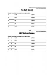 English Worksheet: human body senses