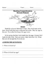 English Worksheet: Birds