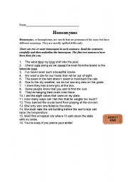 English Worksheet: homonyms