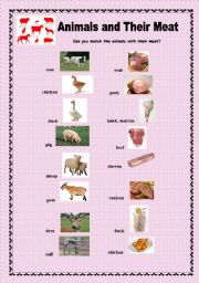 English Worksheet: Animals and their meat