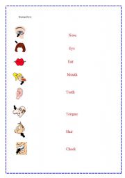 English worksheet: Human face 