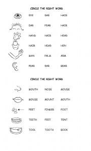 English Worksheet: PARTS OF THE BODY 1