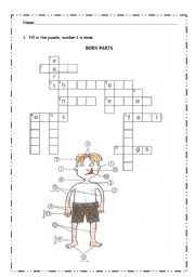 English Worksheet: bod