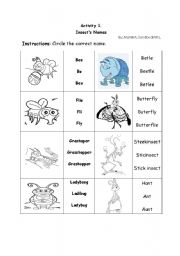 English worksheet: Insects names