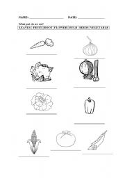 English worksheet: Vegetables