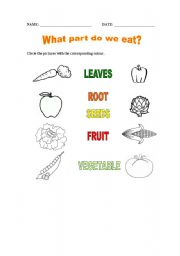English worksheet: What parts do we eat? Vegetables II