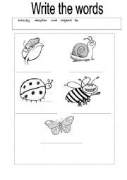 English worksheet: Matching and writing names of the animals,toys,parts of the body.Young learners will have fun while doing these exercises