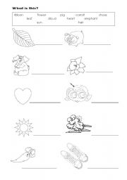 English worksheet: Labelling worksheet