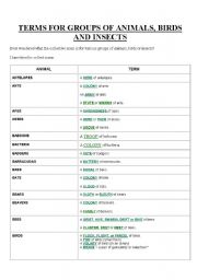 English Worksheet: Terms for groups of animals, birds and insects