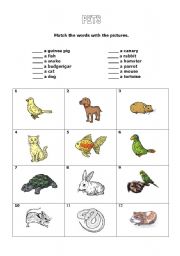 English worksheet: Pets