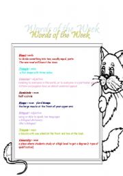 English worksheet: words