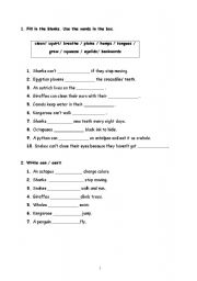 English worksheet: animals can cant