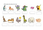 English worksheet: zoo animals