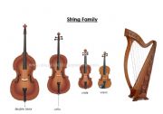 English Worksheet: Musical Instruments - String Family