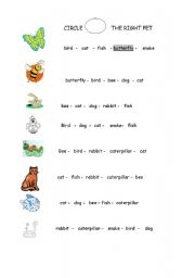 English worksheet: choose the right pet