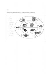 English Worksheet: PETS