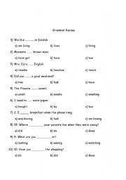 English worksheet: Grammar Test 