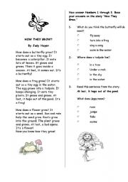 English worksheet: how they grow