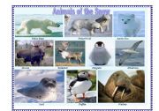 English Worksheet: Pictionary: Animals of the Snow