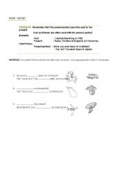 English worksheet: EVER - NEVER