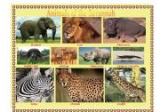 English Worksheet: Pictionary: Animals of the Savannah
