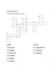 English worksheet: Crossword puzzle-young animals