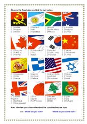 flags