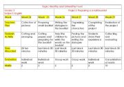 English Worksheet: plan of the project