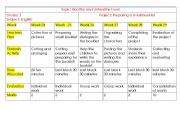 English worksheet: plan of the project