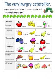 English Worksheet: the very hungry caterpillar