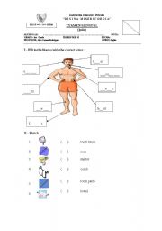 English Worksheet: Parts of the body / Cleaning objects