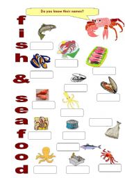 English Worksheet: FOOD 4 - Fish & Seafood