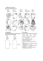 English Worksheet: Types of fruits