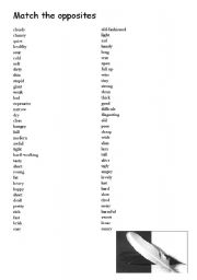 English Worksheet: opposites