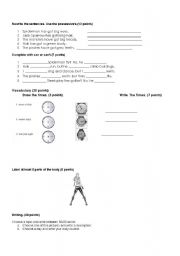 English worksheet: starters level