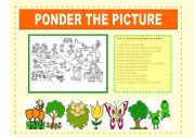 English Worksheet: PONDER THE PIC - LOOK CAREFULLY