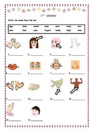 English Worksheet: parts of the body