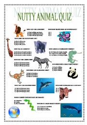 English Worksheet: Nutty Animal Quiz