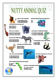 Nutty Animal Quiz