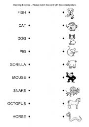 Matching Exercise - Animals