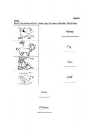 English worksheet: Animals