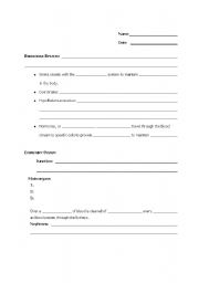 English Worksheet: Body Systems