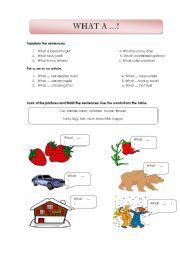 English worksheet: What a ... !