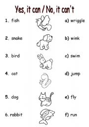 English Worksheet: PETS+CAN