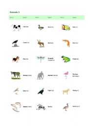 English worksheet: Animals 2