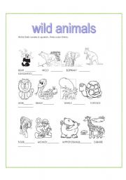 English worksheet: Wild animals