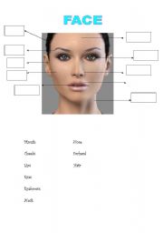 English worksheet: THE FACE