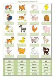 Farm Animals