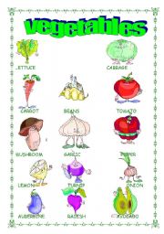 English Worksheet: food : veggy handout !!!