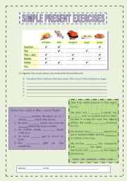 English Worksheet: Simple Present Exercises (part 2)